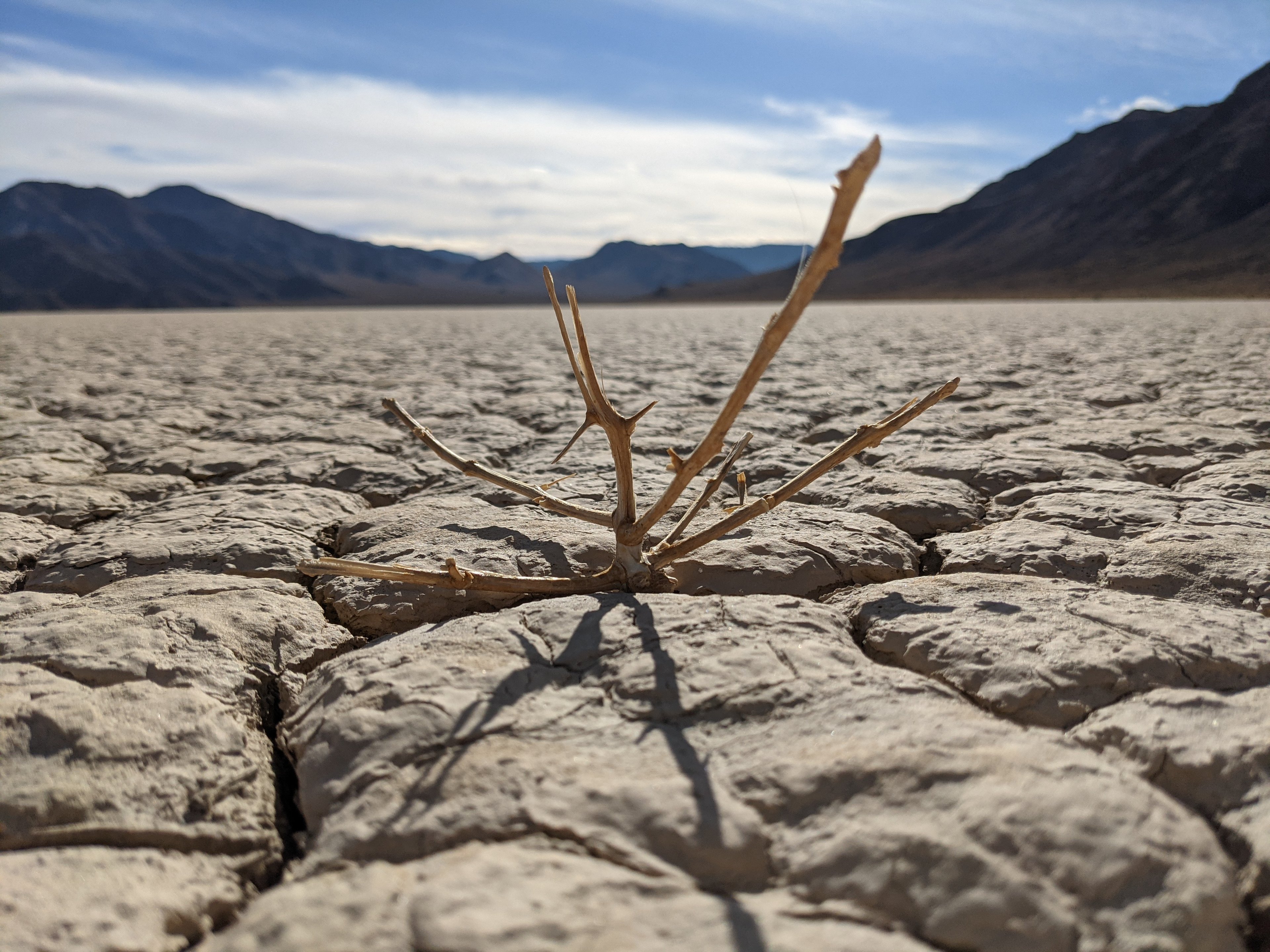 Stranded with a Flat Deep in Death Valley on Racetrack Valley Road